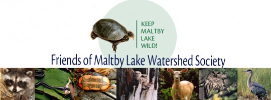 FMLW fb Cover Logo narrow