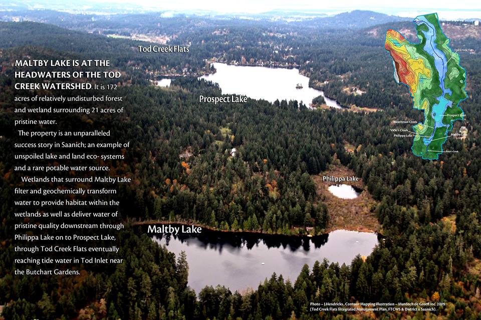 Maltby Lake - At the headwaters of the Tod Creek Watershed