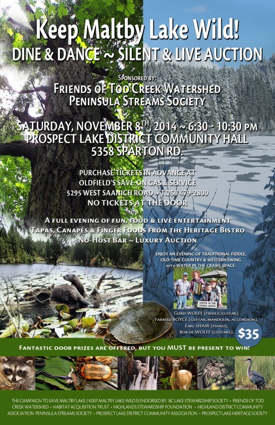 Small Poster - Nov 8th